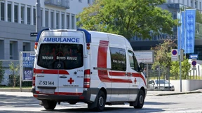 Baum stürzt in Österreich auf Kleinbus – drei Tote
