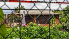 Mehr Licht in das Darknet