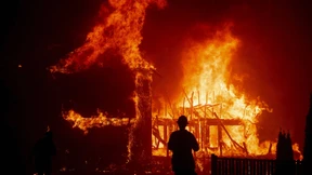 Die Narben des Feuers