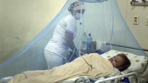 Endlich ein Impfstoff gegen Chikungunyafieber?