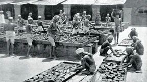 Sucht muss man zu erzeugen wissen