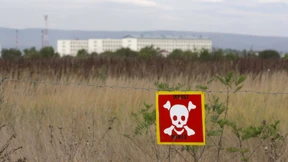 Tückische Tellerminen