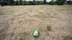 Hitzerekord, Sahara-Luft und Dürre