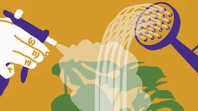 Wie Anleger die passenden grünen ETF finden