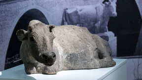 Zwei Zentralgestirne