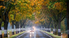 Flüchtiger Fahrer stellt sich nach Tod von Radler