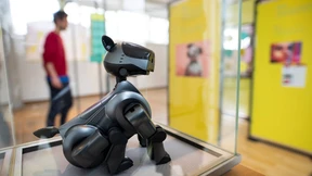 Datensumpf und Influencer-Strand