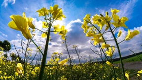 Nach Regen kommt Sonnenschein