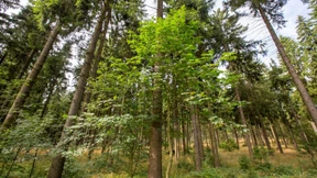 Das Display weist den Weg - fast