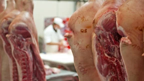 Ukrainische Praktikanten für die Fleischfabriken