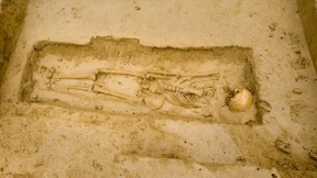 Napoleons Soldatengräber freigelegt