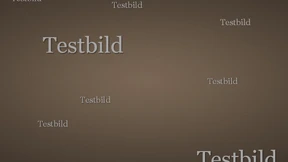 NS 3.3 (Verteiliung zu SZ)