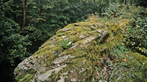 Abwechslung vom Feldberg-Ausflug