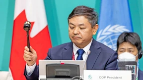 Wie die Staaten die Zerstörung stoppen wollen