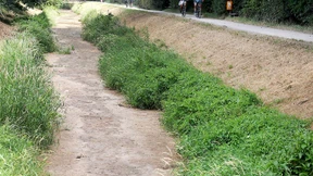 Wasserstände in Flüssen sinken