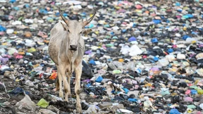 Die Verhandlungen müssen weitergehen