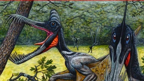 Adieu, „Naturwissenschaften“