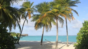 Info-Pflicht für Urlauber