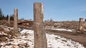 Weiter Streit um Windpark auf dem Taunuskamm