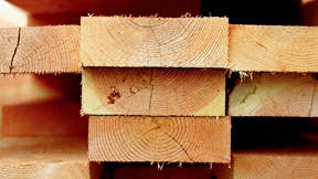 Wandeln auf dem Holzweg