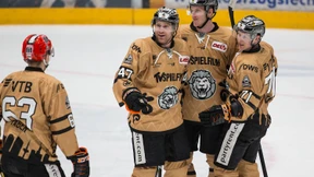 Frankfurt Löwen erhalten die Lizenz