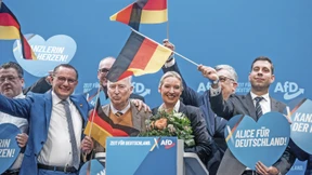 Die teuren Pläne der AfD