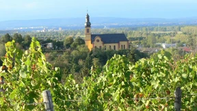 Im fröhlichen Weinberg