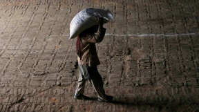 Sind die Kleinen nicht süß?