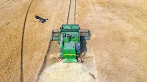 Noch ein viel zu trockener Sommer