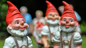 Das kleine Glück im kleinen Grünen