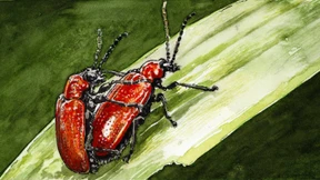 Pfui ist kein Argument