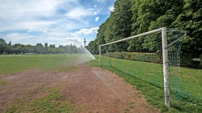 Wie die Bertramswiese umgestaltet werden soll