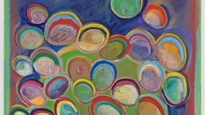 Blumen für die Bilder