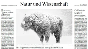 Nicht ohne mein Hörgerät