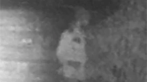 Obdachloser fast zu Tode geprügelt und unter Steinen versteckt