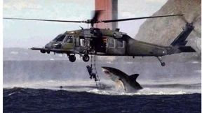 Deutsch, Mathe, Fake News