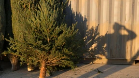 „Der Minister und ich haben beschlossen...“ 