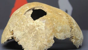 Männer, Musketen, Totentrompeten