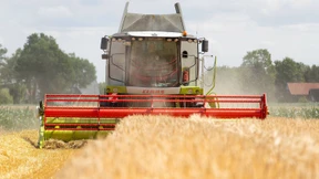 Mähdrescher holen wieder Getreide von den Feldern