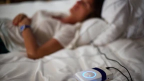 Hundemüde im Hotelbett