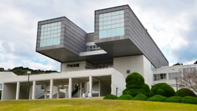 Die Natur der Moderne