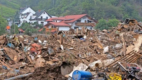 Die Gurke im Garten kann nun giftig sein
