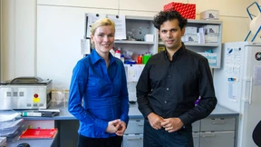 Grafikkarten ersetzen Laborarbeit