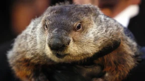 Wer beendet den Murmeltiertag?