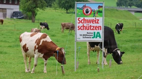 Machen die Schweizer heute die Schotten dicht?