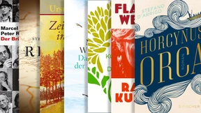 Die wichtigsten Romane des Frühjahrs