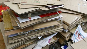 Drakonische Strafe für Müllverstoß in Zürich