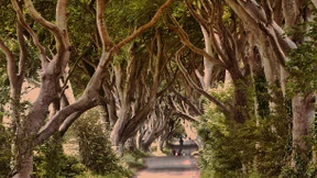 Zurück ins Mittelalter