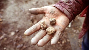 Für Frische und Fülle braucht es Vertrauen