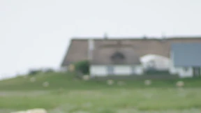 Freier Blick auf Meer und Möwen